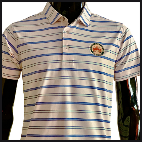 Delhi Golf Club © Pink/Blue/Green Striped Drifit Tshirt (Men's)