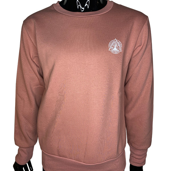 Modern School @ Sweat Shirt Salmon